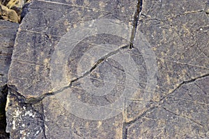 Limestone in turbiditic facies. Eocene, Lutecian. 4 Mya photo