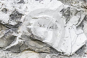 Limestone wall of textura photo