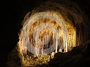 Limestones in Carlsbad Caverns National Park