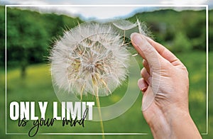 Only limit is your mind. Hand holding Dandelion flower, close up photography, banner design, poster design. Motivational quotes