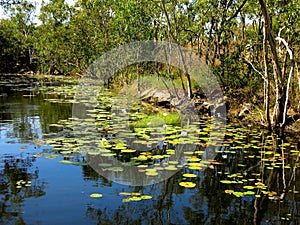 Limmen national park, northern territory, australia