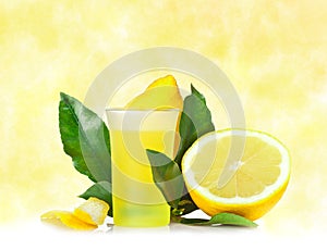 Limoncello photo