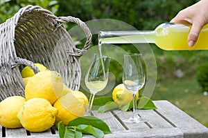 Limoncello and lemons photo