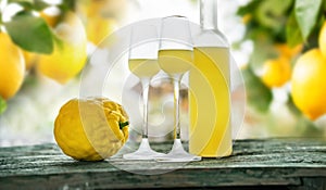 Limoncello poured into glasses photo