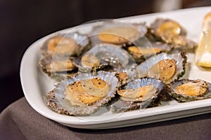 Limpets served in a restaurant on the island of Flores in the Azores, Portugal
