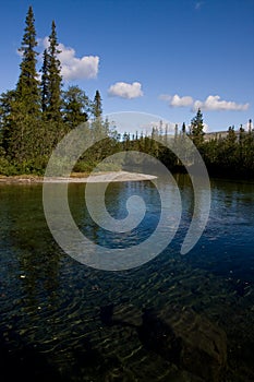 Limpid water of the river