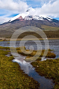Limpiopungo Lagoon at the foot of Cotopaxi