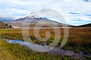 Limpiopungo Lagoon at the foot of the volcano Cotopaxi photo