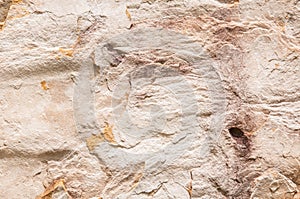 Limstone texture background