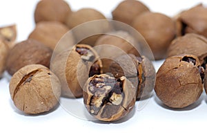 Linan small walnut