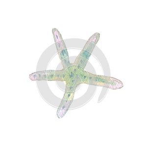 Linckia laevigata sea ocean starfish composition watercolor illustration isolated on white background base for printing photo