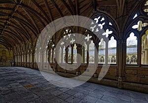 Lincoln Cathedral: cloisters