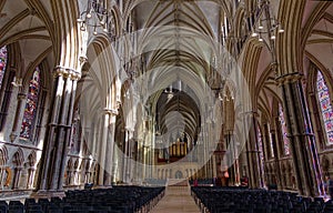 Lincoln Cathedral: vaulted ceiling