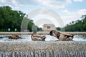 Lincoln Memorial in the National Mall, Washington DC.