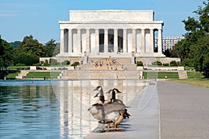 The Lincoln Memorial and the Reflecting Pool in Washington D.C.