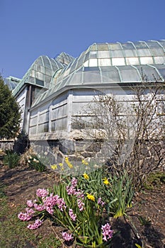 Lincoln Park Conservatory