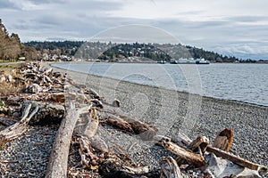 Lincoln Park Shoreline