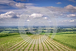 Lincolnshire from The Wolds