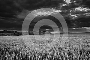Lincolnshire Wolds, East Midlands, UK, May 2019, a View of the lincolnshire countryside in black and white