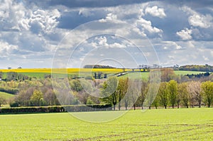 Lincolnshire wolds in spring