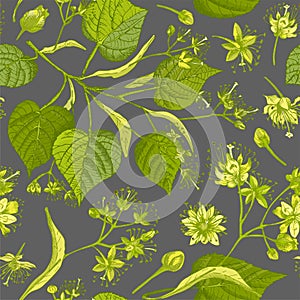 Linden blossom hand drawn seamless pattern with flower, lives and branch in yellow and green colors on gray background