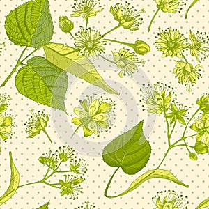 Linden blossom hand drawn seamless pattern with flower, lives and branch in yellow and green colors on light beige