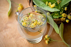 Linden flowers in a glass tea cup