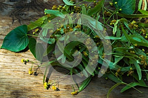 Linden flowers with leaves lie on a wooden unpainted table