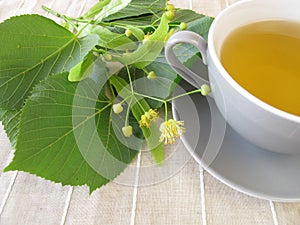Linden flowers tea
