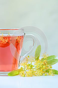 linden herbal tea in a transparent cup on a gray background
