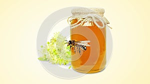 Linden honey and bee