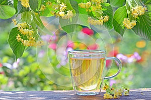 Linden tea in a glass cup