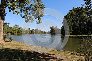 the shadow of a tree in front of a lake photo