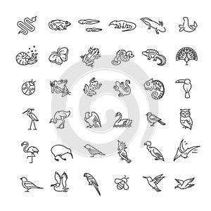 Line animals concepts, vector icons set