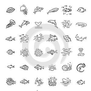 Line animals concepts. Ocean and Marine life