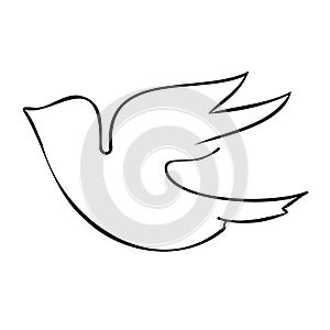 Line art bird. Flying pigeon outline drawing. Black and white vector illustration