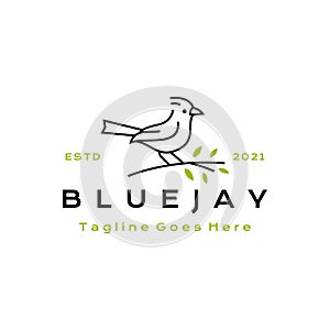 Line art Blue jay bird logo design vector illustration