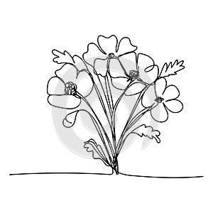 line art, bouquet of flowers poppy spring and summer, single line drawing. vector illustration white background
