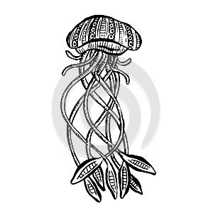 Line Art Cartoon Jellyfish Octopus Deep Sea Creatures Vector