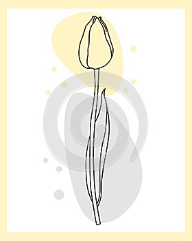 Line art, contour tulip flower with the addition of colored spots of pastel shades. Poster, wall art, postcard, invitation