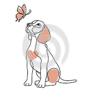 Line art, cute purebred dog beagle and butterfly. Outline illustration, poster, postcard