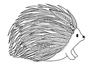 Line art design of hedgehog for t shirt design,adult coloring book page