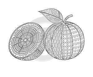 Line art design of sliced of orange and whole orange for printing on product, engraving, adult coloring book, coloring page and so