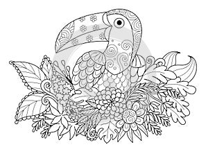 Line art design of Toucan bird sitting on branch for adult coloring book page.Black and white illustration