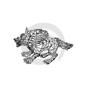 Line Art design of Wolf Low poly