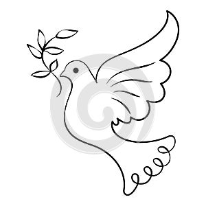 Line art, dove with twig, bird of peace. Black and white illustration vector