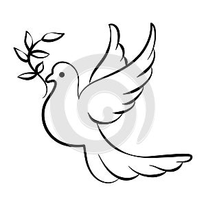 Line art, dove with twig, bird of peace. Black and white illustration vector