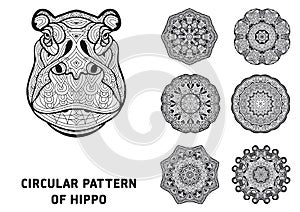 Line art. Element for your design. The head of a Hippo photo