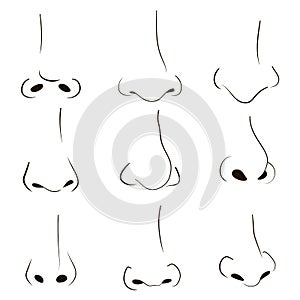 Line art human noses set. Outline sketch body part. Vector illustration