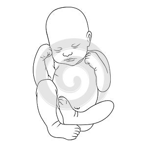 Line art. Newborn illustration. Hand drawn vector lying kid isolated on white background